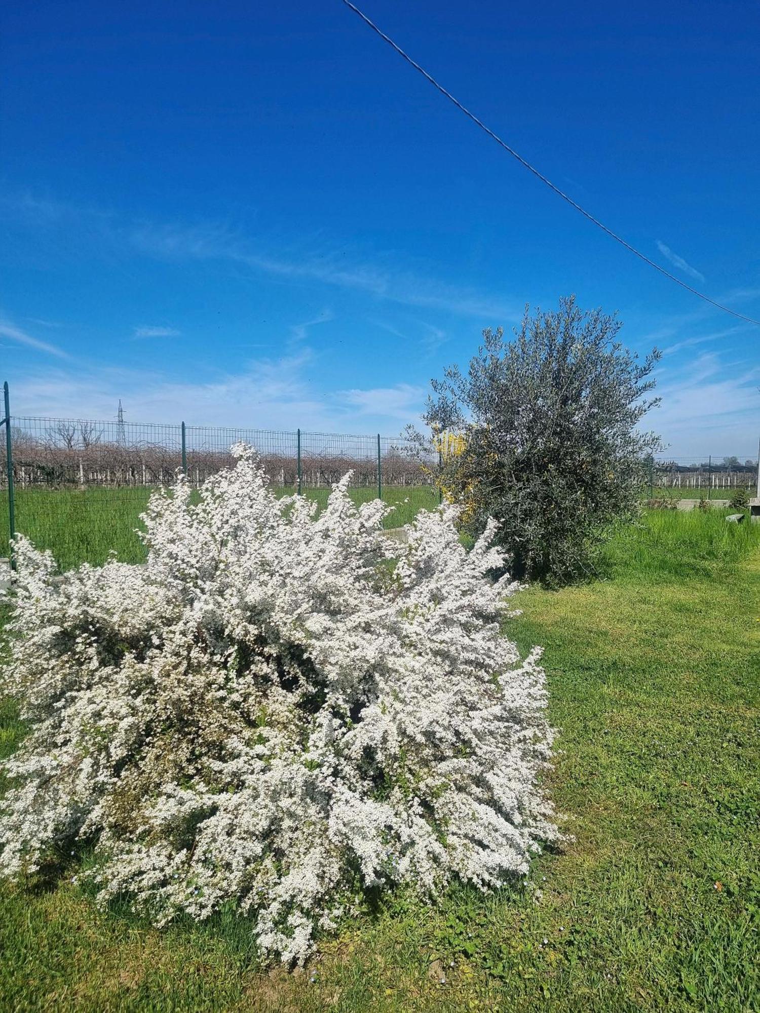 Cascina La Demilana Bed & Breakfast Bibiana Exterior photo